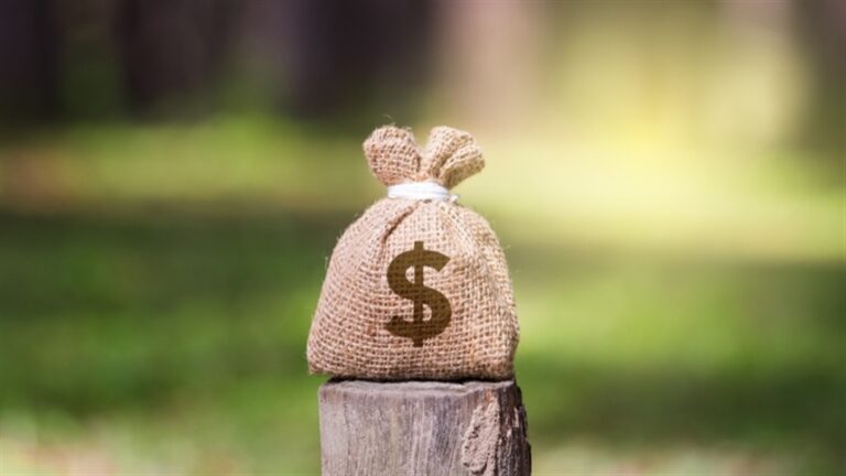 Tribunal suspende recuperação judicial de gigante do agro