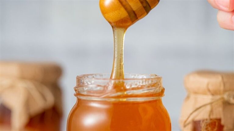 Exportações de mel crescem no 1º quadrimestre