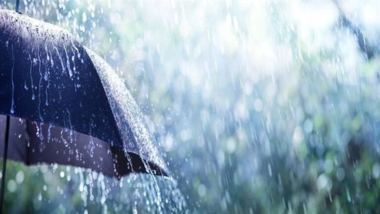 Trigo e arroz se beneficiam de chuvas na Ásia