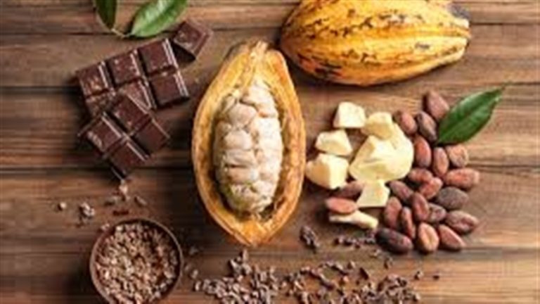 Brasil e Camarões firmam acordo pelo cacau sustentável