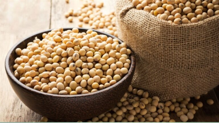 Clima, China e EUA viram o jogo da soja