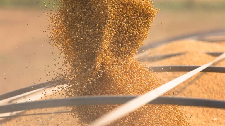 Soja impulsiona economia e gera desenvolvimento no Mato Grosso