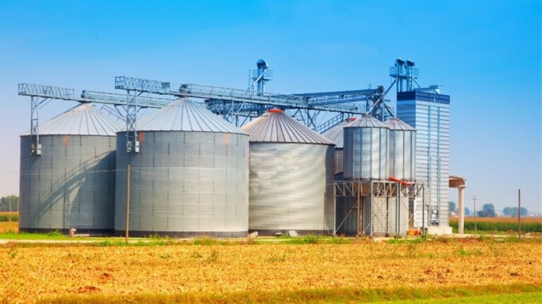 Falta de armazenagem de grãos no Brasil é gargalo grave, afirma Sartori