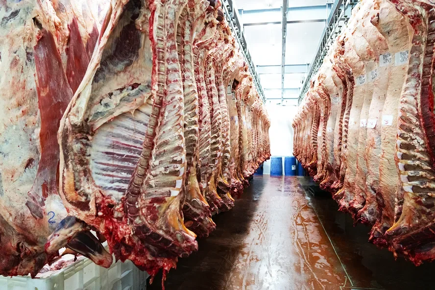 Brasil amplia embarques de carne bovina em maio e acumula mais de 1,3  milhão de toneladas exportadas no ano | Notícias do Campo